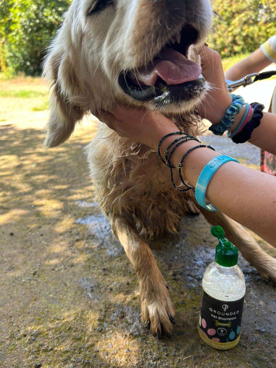 Grounded - Pet Shampoo 2 Pet Shampoo - Image 6