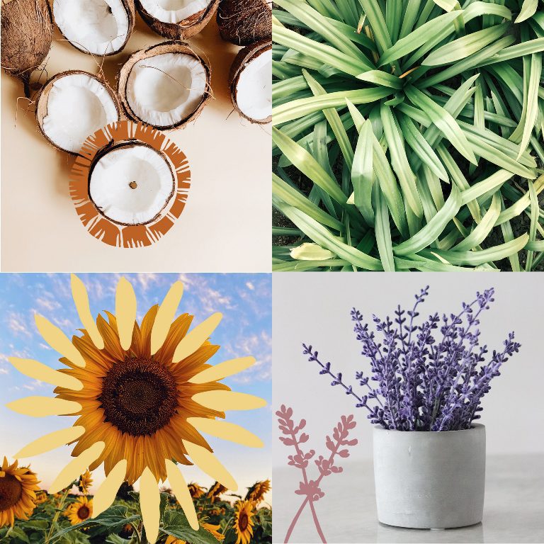 Grounded - Botanicals